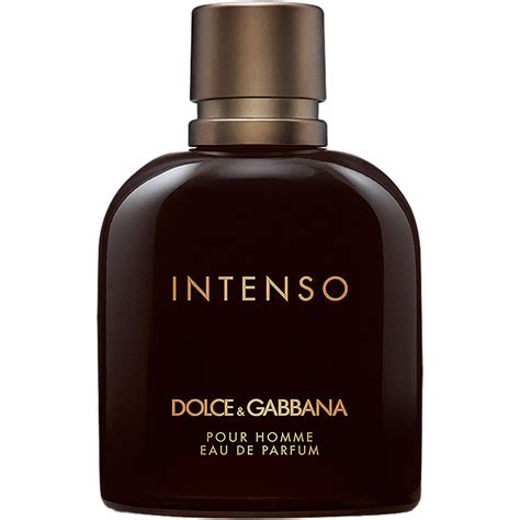 parfum dolce gabbana homme intenso